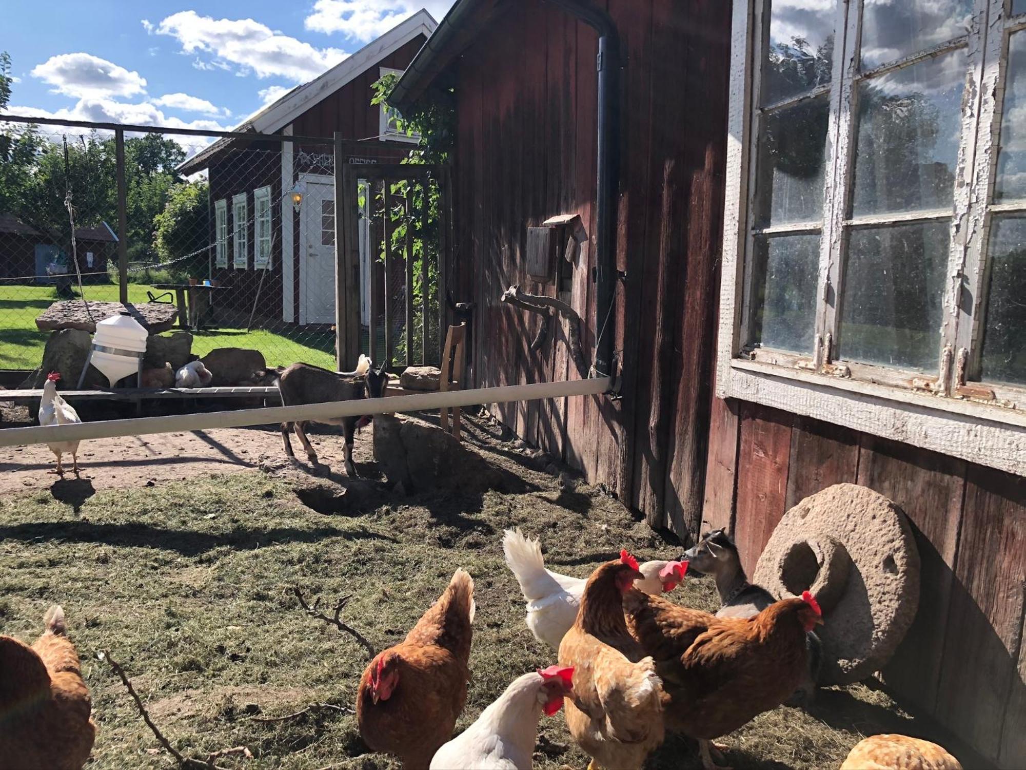 Aeventyrsgardens Vandrarhem, Kinnekulle Källby Esterno foto