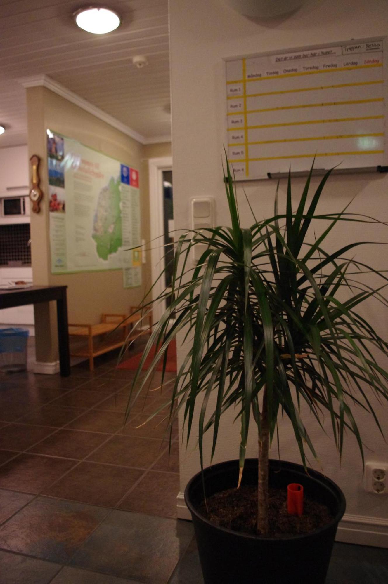 Aeventyrsgardens Vandrarhem, Kinnekulle Källby Esterno foto